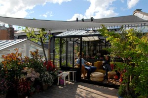 Dakterras Daktuin Groendak Dakdokters Amsterdam