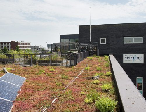 Groen dak Neptunusschool IJburg
